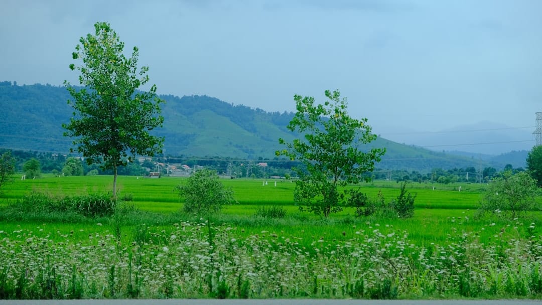 air purifier in islamabad