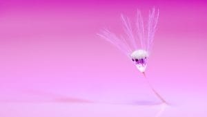 best animated movies